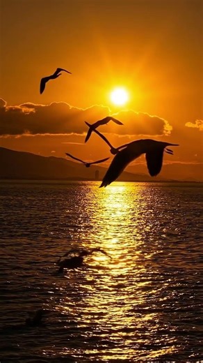 Boundless Heart