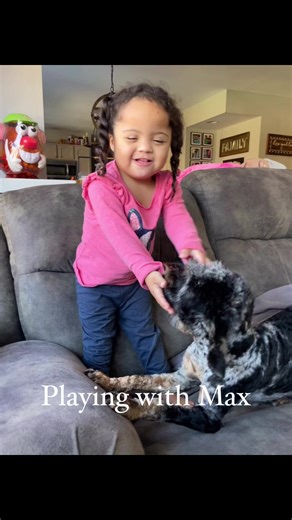 Rae likes to play with Max. | RAE