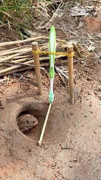 DIY frog trap with toothbrush #camping #outdoors #bushcraft