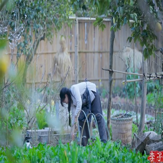 27K views · 913 reactions | Lovely Lady Cooking and Living ❤️殺 #Lovelylady #Beautiful | Countryside Cooking TV | Facebook