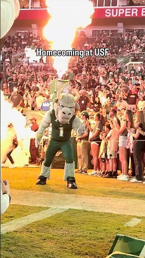 Green, gold, and a Homecoming week to remember 💚💛