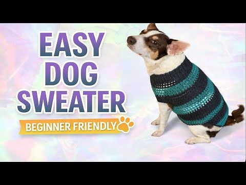 Easy Crochet Dog Sweater 🐶 | Beginner-Friendly Tutorial