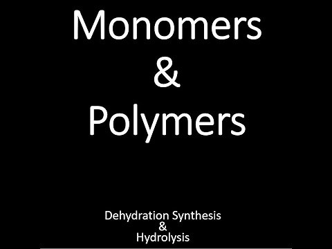 Monomers, Polymers & Dehydration Synthesis , Hydrolysis