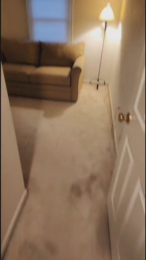 Check out this beautiful hardwood flooring installation we completed this morning! 🔨✨ We removed the old carpet and installed brand new hardwood that matches perfectly with the hallway. The transformation came out clean, modern, and really elevated the space. If you’re thinking about upgrading your floors, hardwood is one of the best ways to increase value, improve look, and make maintenance so much easier. DM us if you’d like a quote! 🏡🔩🪚 | Go Pro Construction GPC