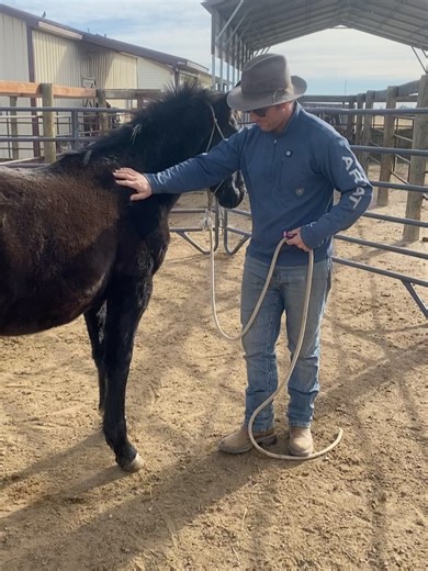 Un-Natural Horsemanship on Reels