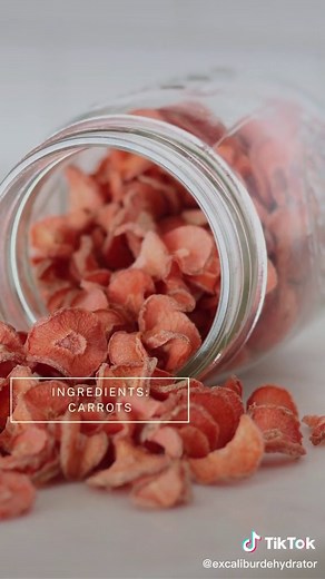 Excalibur Dehydrator on TikTok