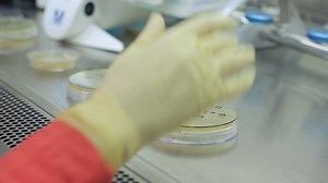 Scientist hand writing on test beakers | Free Stock Video Footage
