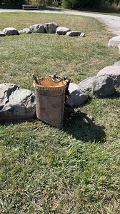 11K views · 576 reactions | My Tulip Poplar Bark / Molle Frame pack for todays Survival Plants walk. Pretty cool pack. Good mix of old school and modern. | Creek Stewart | Facebook