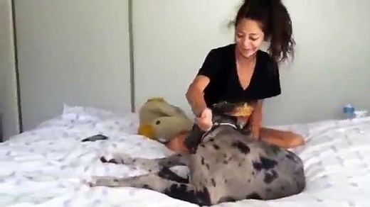 Chica cogida por un perro