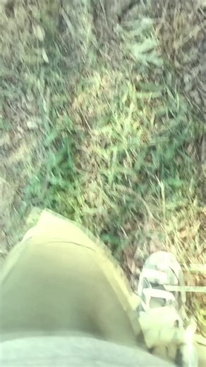 #creepypasta #thepages #fyp