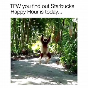 Happy Hour is today! Buy ANY grande & up handcrafted iced beverage after 3pm and get another free at participating stores. ☀️ | Starbucks