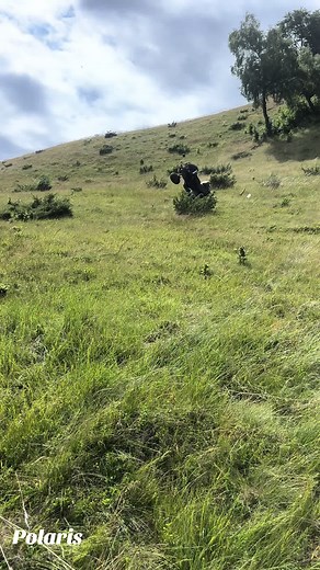 Exploring the Can-Am Renegade 1000 XMR Performance
