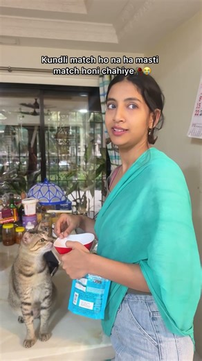 Meme knowledge and faltugiri match hona chahiye #comedy #funny #relatable #memes #cats #lol