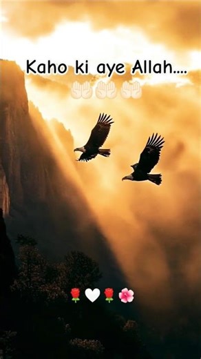 Kaho ki aye Allah...🤲🏻🤲🏻🤲🏻#islamicstatus #trending #viral #allah🤍🌹🌺#explore #ayat