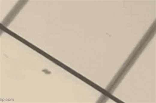 VIDEO Žohari trče po jaknama, crvi gmižu po pločicama: roditelji zgroženi užasom u svlačionicama bazena