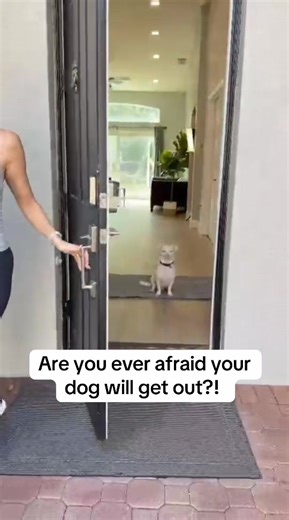 Real-time location tracking for peace of mind wherever your pet goes. Perfect for escape artists and adventurous pups. #PetTracker #DogSafety #PeaceOfMind #PetParents #SmartPet