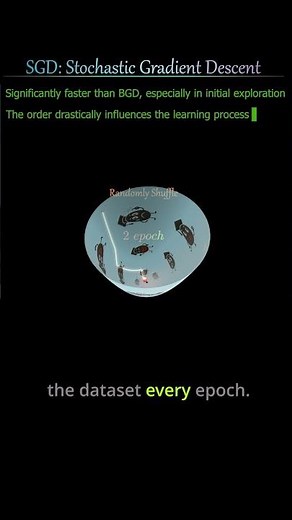 The Trade-Off of SGD: Fast Learning, Noisy Convergence #stochastics #gradient descen#optimization