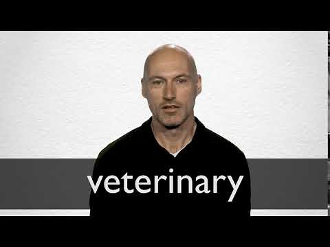 How to pronounce VETERINARY in British English