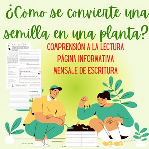 Spring | From Seed to Plant  Reading Comprehension Passage