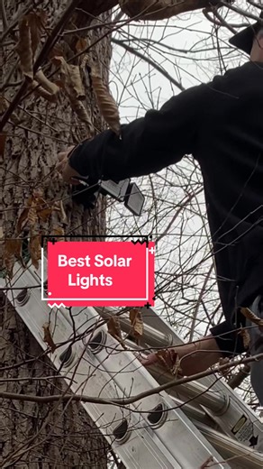 I’m really shocked that these cheap lights are so bright. I need two more now… #solar #solarlights #lights #backyardlights #tiktokshop