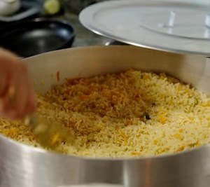 Racing Extinction on Reels | Facebook