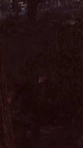 random bear encounter 12 (The Alternate Ending) #waitforit