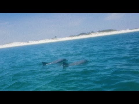 SPRING BREAK PART 2 🌊🏝️