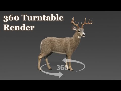 White tailed deer turntable render | maya arnold render | CG Creature artist #stynsour
