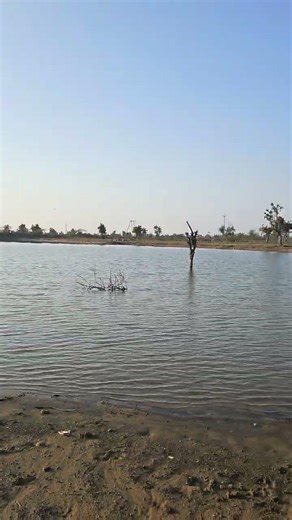 gypsy life #caravan #gypsylife #travel #marutigypsyking #adventureindia