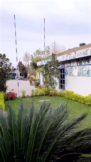 Exploring the Anatomy Lab: Insights for Medical Students