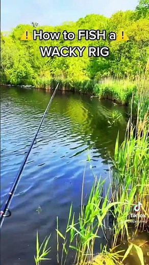 How To FISH with a WACKY RIG‼️ #fishing #fishingtips #CwickFishing #wackyrig