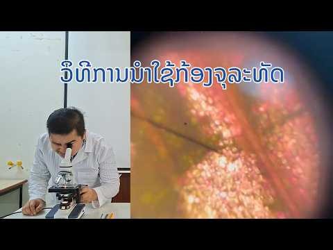 ວິທີການນຳໃຊ້ກ້ອງຈຸລະທັດ (How to use a Microscope)