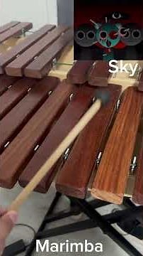 Sprunki phase 2 in real life with real instruments.