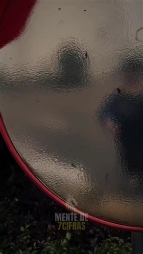 programación neurolingüística identidad, reprogramar identidad, cambiar identidad mental, mentalidad de éxito, identidad abundante, reprogramar el subconsciente, neuroprogramación mental, cambio de creencias limitantes, identidad financiera, mentalidad de abundancia, reprogramar la mente para el éxito, PNL aplicada al dinero, hábitos de personas exitosas, entrenar el cerebro, neuroplasticidad aplicada, cambio de identidad personal, mentalidad millonaria, reprogramación mental diaria, subconscien