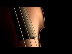 E-Motion-L & Scream - "The Joy To Kill"