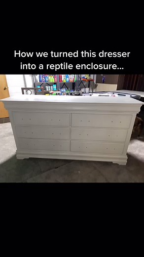 DIY Bearded Dragon Enclosure Ideas