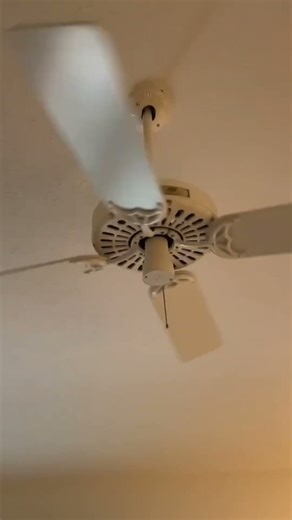 Hunter Original Ceiling Fan