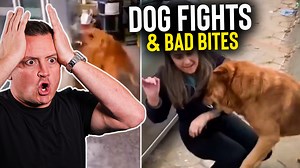 20K views · 336 reactions | In this video, I react to a variety of...