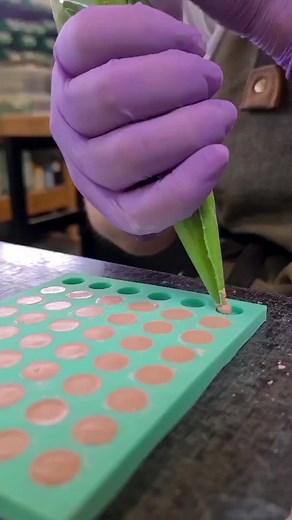 1.7K views | Übung macht den Meister  #concretejewelry #concreteearrings #concretejewellery #betonohrringe #betondesign #betonschmuck #übungmachtdenmeister #practicepracticepractice #practicemakesimprovement #practicemakesperfection | Concrete Jungle Jewelry | Facebook