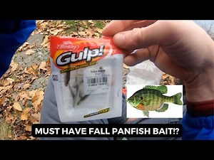 Berkley Gulp 1 Inch Minnow - Must Have Fall Panfish Bait!?