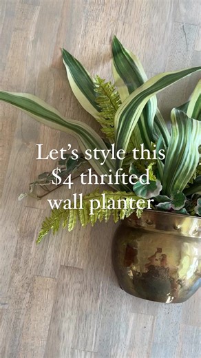 31K views · 256 reactions | When I saw this little brass wall planter at goodwill I immediately knew the perfect spot to style it! Side note, I propagated this cutie plant but cutting off a piece from my original and letting it sit in water until new roots started to grow! Hello little free plant! #trlthriftscore | The Rural Legend | Facebook