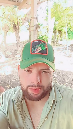 Videos de David Merlo (@david.merlo13) con “sonido original - David Merlo”