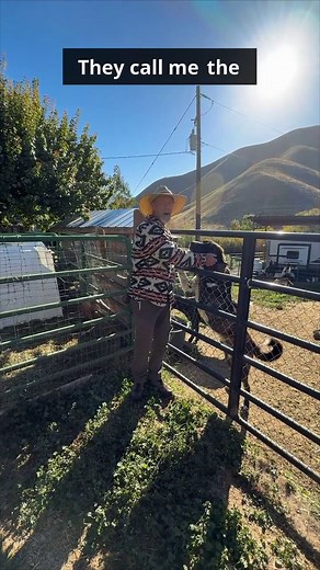Thinking about breeding your does? 🐐 Marc Warnke shares exactly how to tell when a doe is in heat — from tail wagging and playful behavior to subtle signs most people miss. He also shows a simple washcloth technique to detect heat even if you don’t have a buck on-site. These small details can make all the difference in breeding success. 🎯 Learn more at Packgoats.com #PackGoats #GoatBreeding #GoatHeat #HomesteadLife #GoatTips #FarmLife #MarcWarnke #Homesteading #GoatHusbandry #BabyGoats #Backya