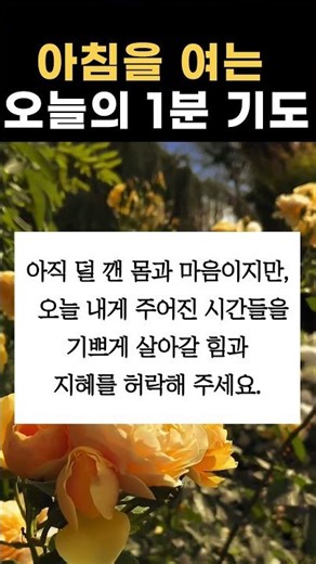 하루를 시작하는 아침 1분 기도 #평안 #위로 #긍정확언 #기독교쇼츠 #은혜 #하루시작 #숙면 #모닝 #감사기도 #성경 #예배 #묵상