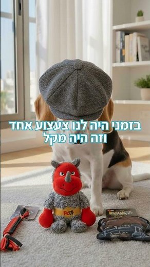 כלבים מבוגרים פשוט לא יבינו את זה - צעצועי PetEx הם הפתרון המושלם בשבילם, מבטיחים הנאה לכלב שלך.