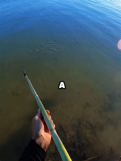 Ultimate Bowfishing Adventures: Experience Fishing Life