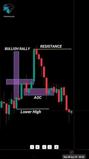 The Best forex Trading Tips for beginners