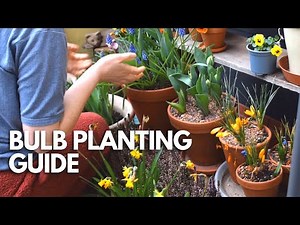 Step By Step, Fool-Proof Guide To Planting Spring-Flowering Bulbs In Pots! Daffodils, Tulips, Etc