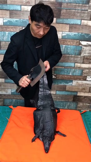 #Crocodile #Scale #Wildlife #Photography #NatureLovers #Reptile #Facts | Crocodile Scale | Facebook