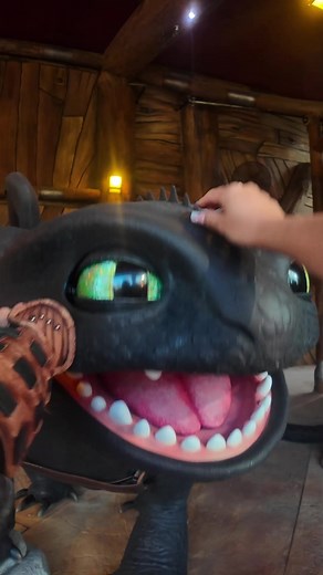 We met Toothless!🥰🐉 #fyp #universalstudios #epicuniverseorlando #howtotrainyourdragon #toothless
